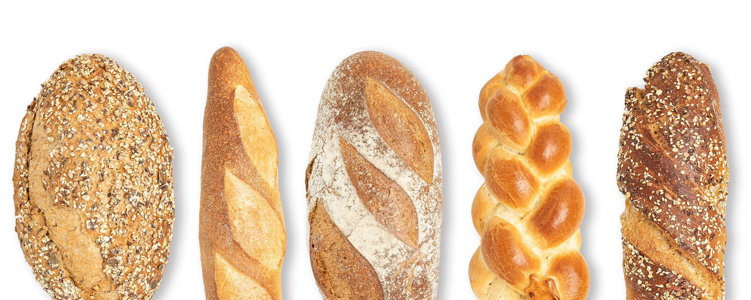 Steiner-Beck – Bäckerei • Konditorei • Confiserie • Café